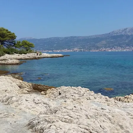 Little Cherry * Split