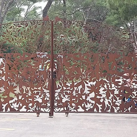 Little Cherry * Split