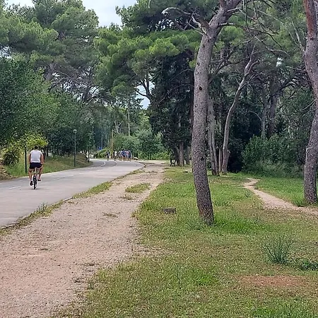 Apartmán Little Cherry Split