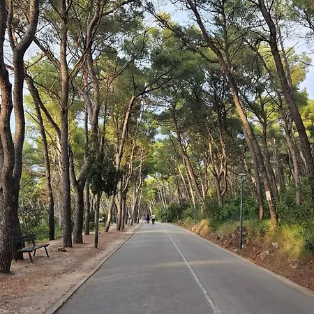 Little Cherry Apartmán Split