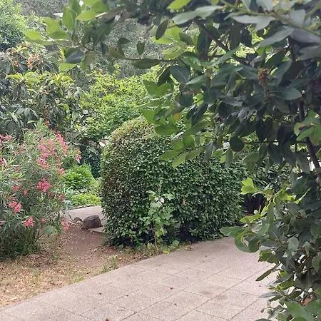 Little Cherry * 스플리트