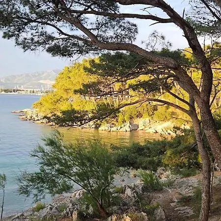 Little Cherry * 스플리트